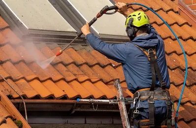 Démoussage et hydrofuge de toiture à Thollet